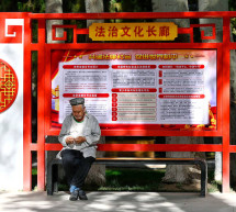 Travel firms urged to halt trips to Uyghur region over China rights abuses Travel firms urged to halt trips to Uyghur region over China rights abuses